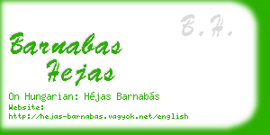 barnabas hejas business card