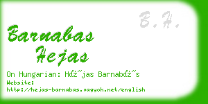 barnabas hejas business card